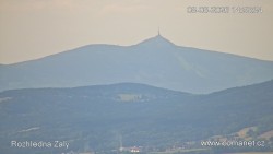 Žalý