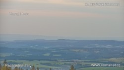 Žalý