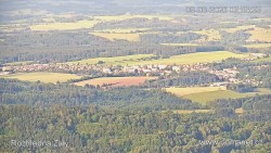 Žalý