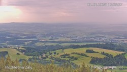 Žalý