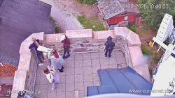 Žalý
