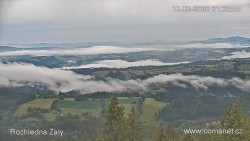 Žalý