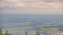 Žalý