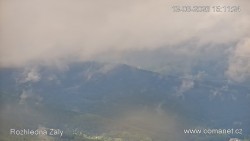 Žalý