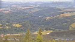 Žalý