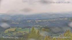 Žalý