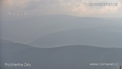 Žalý
