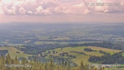 Žalý