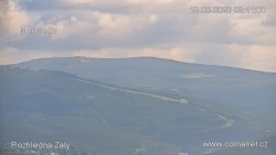 Žalý