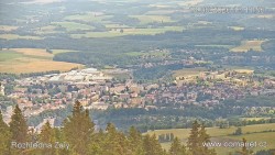 Žalý