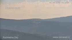 Žalý