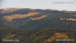 Žalý, Krkonoše, Jizerské hory
