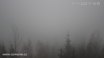 Snímek 11.11.2025 v 11:15