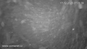 Město Špindlerův Mlýn - Bedřichov - 17.12.2025 v 07:15 Město Špindlerův Mlýn - Bedřichov - 17.12.2025 v 07:15