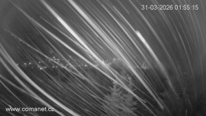 Město Špindlerův Mlýn - Bedřichov - 31.3.2026 v 02:00 Město Špindlerův Mlýn - Bedřichov - 31.3.2026 v 02:00