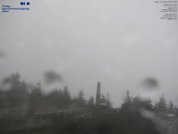 Pohled na jihozápad, Smrk