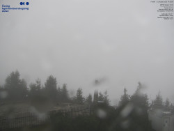 Pohled na jihozápad, Smrk