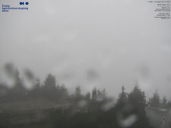 Pohled na jihozápad, Smrk