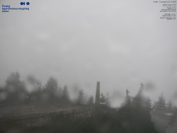 Pohled na jihozápad, Smrk