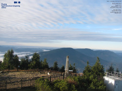 Pohled na jihozápad, Smrk