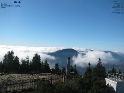 Pohled na jihozápad, Smrk