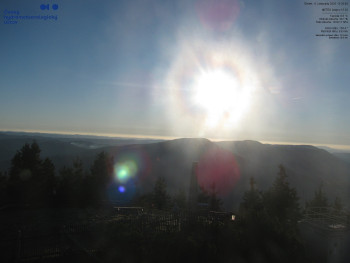 Snímek 6.11.2025 v 15:30