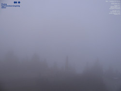 Pohled na jihozápad, Smrk