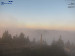 Pohled na jihozápad, Smrk