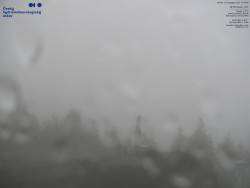 Pohled na jihozápad, Smrk