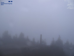 Pohled na jihozápad, Smrk