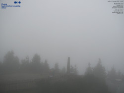 Pohled na jihozápad, Smrk