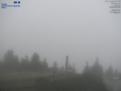 Pohled na jihozápad, Smrk