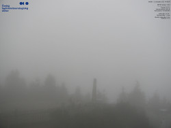 Pohled na jihozápad, Smrk