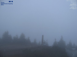 Pohled na jihozápad, Smrk