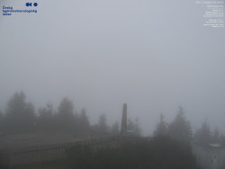 Pohled na jihozápad, Smrk