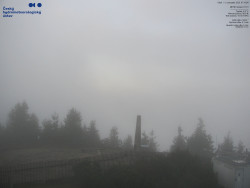 Pohled na jihozápad, Smrk