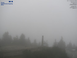 Pohled na jihozápad, Smrk