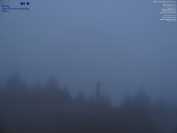 Pohled na jihozápad, Smrk