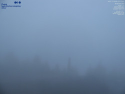 Pohled na jihozápad, Smrk