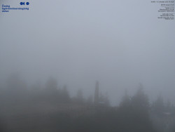 Pohled na jihozápad, Smrk