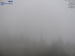 Pohled na jihozápad, Smrk