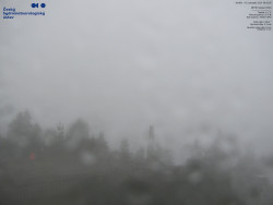 Pohled na jihozápad, Smrk