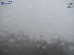 Pohled na jihozápad, Smrk