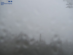 Pohled na jihozápad, Smrk