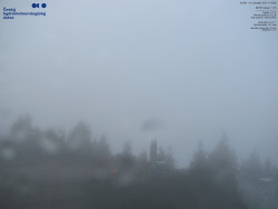 Pohled na jihozápad, Smrk