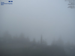 Pohled na jihozápad, Smrk