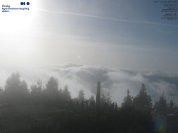 Pohled na jihozápad, Smrk