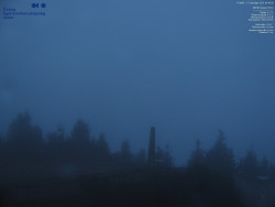 Pohled na jihozápad, Smrk