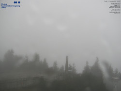 Pohled na jihozápad, Smrk