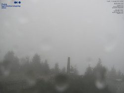 Pohled na jihozápad, Smrk